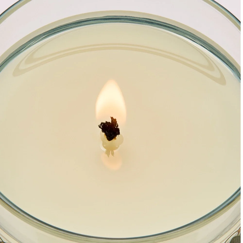 SPRING APPLE Bath & Body Works Single-wick Candle